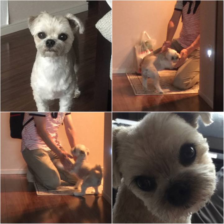 519e85f3 f3d1 49e7 a986 255e93d89ba6 1525248981267