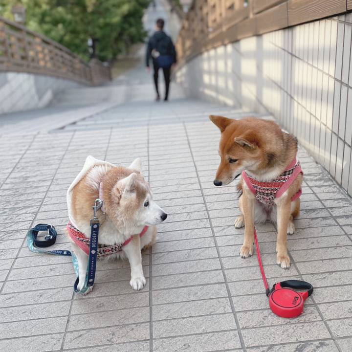 519e8943 0cfa 461e 9cc8 2ba09edc3f79 1675607447216