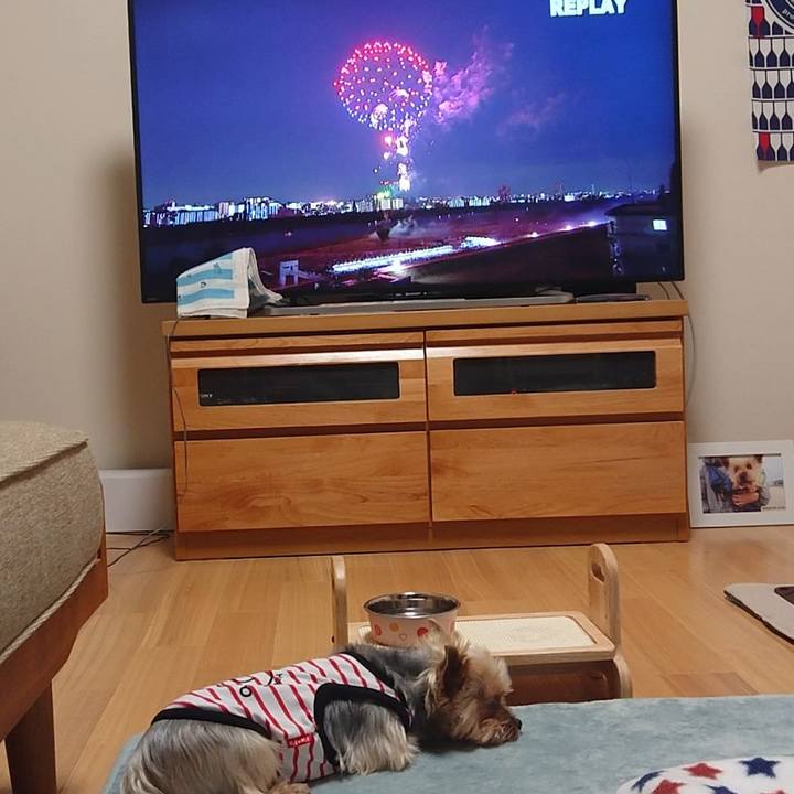 519eb4f8 ac45 4bf2 91fd 662c6933ee21 1558247294159