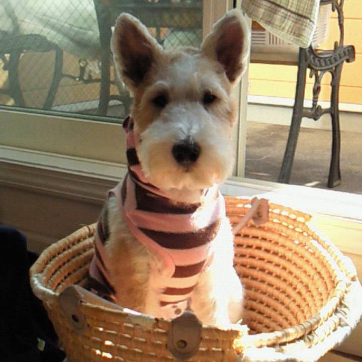 519ec335 5ca5 4e2e 9ff5 5ff942867e07 1629923008957