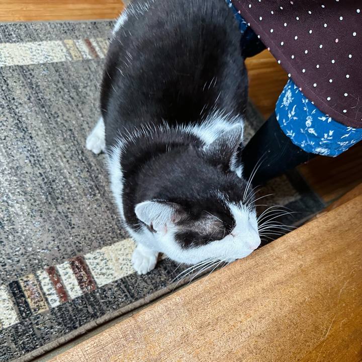 519ecafb 797e 4c08 83ec 2e8775333b4b 1717033353840