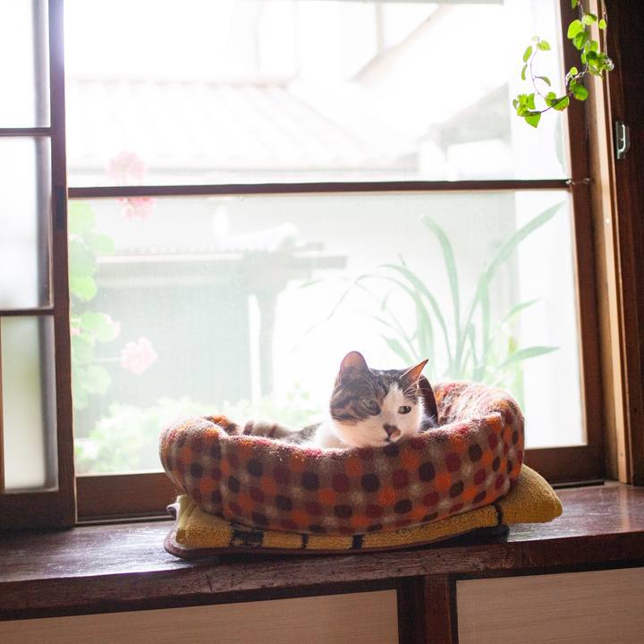 519ed5a5 8f3c 456f b682 4b8b19b37f79 1560317122858