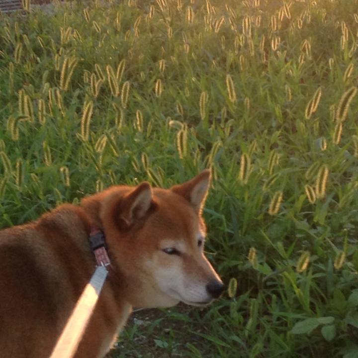 519f092c 0776 4b90 ae00 d899ae48ad85 1528885061782