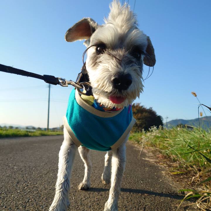 519f2aff 7243 4e57 a17c 66972b0fdc49 1761260683968