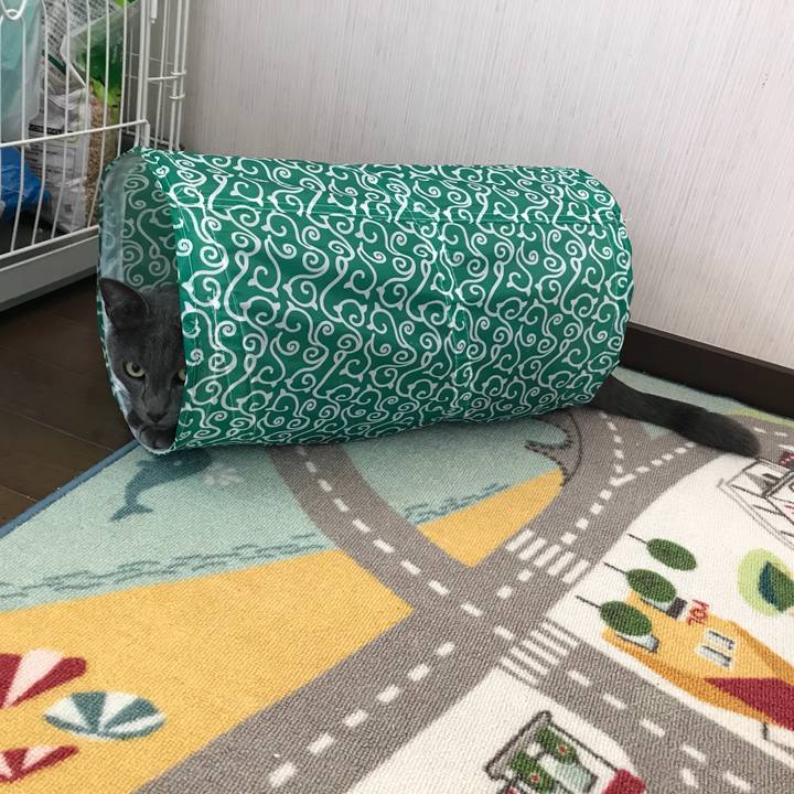 519fdcd0 03ec 4e53 a172 cfaf06b9a1a7 1525264785192