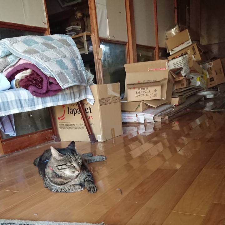 519fed84 c6b2 4bcf b260 26f1b6d3edac 1659254892485