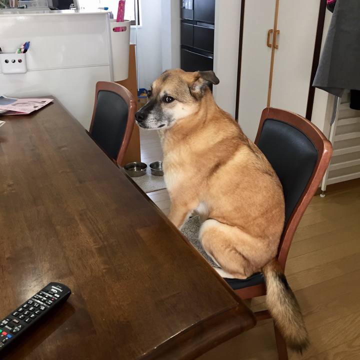 519ffb9f 4e06 43f8 a2a6 67ac71bd5dd6 1517100266139