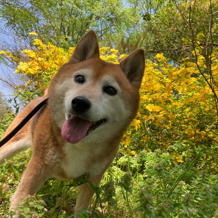 51a02274 9956 4049 a27f 697f4ed40d09 1713154320135