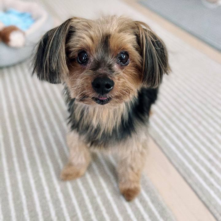 51a02c79 a1eb 4ae5 95f2 89b2bdb11642 1645157897269