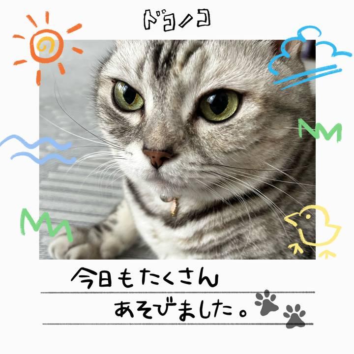 51a03998 640d 4469 ad55 73a3ca519939 1755557772288
