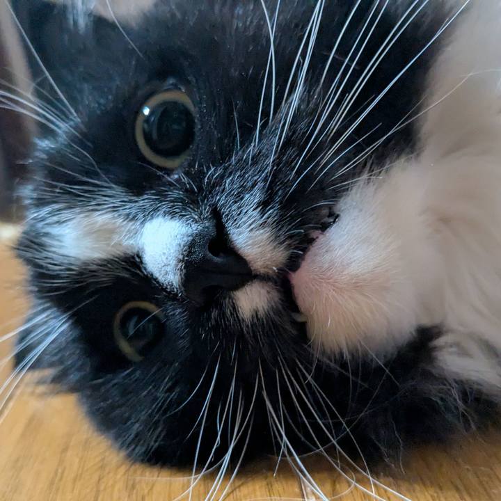 51a052e2 a1a1 4988 85ed 97629445679c 1751577514488