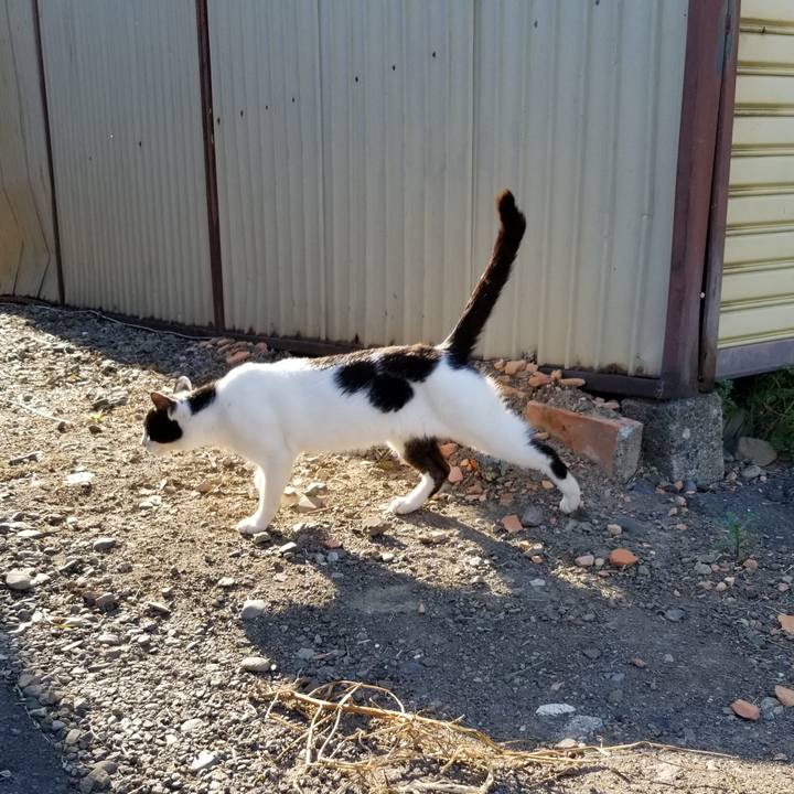 51a0590d 172a 412b 9b47 0c6c80f31755 1598361216527