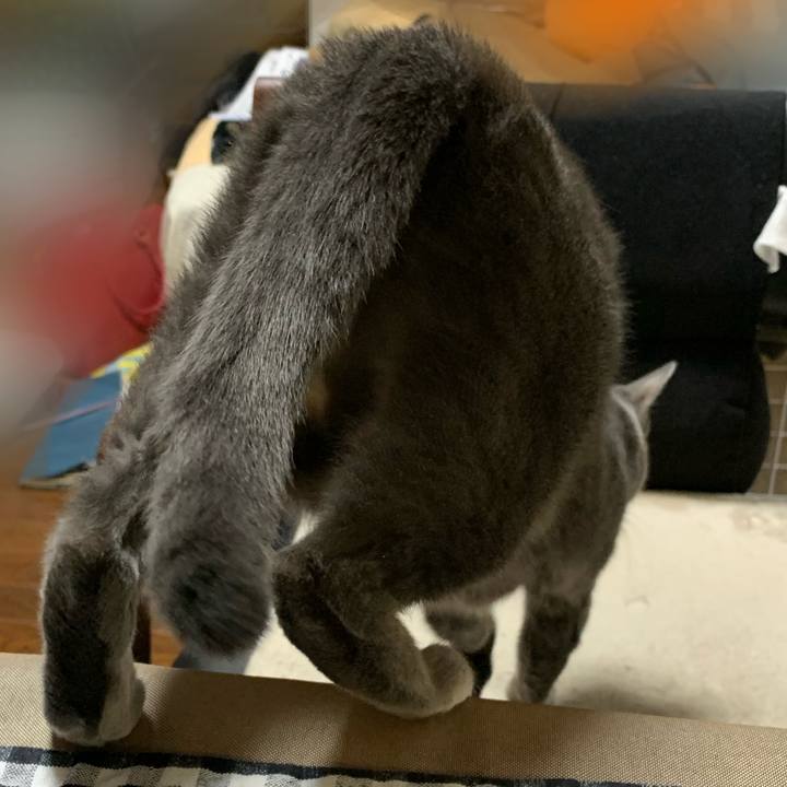 51a06d21 14a8 409a 8b3c b138d53bf0bc 1582356340463