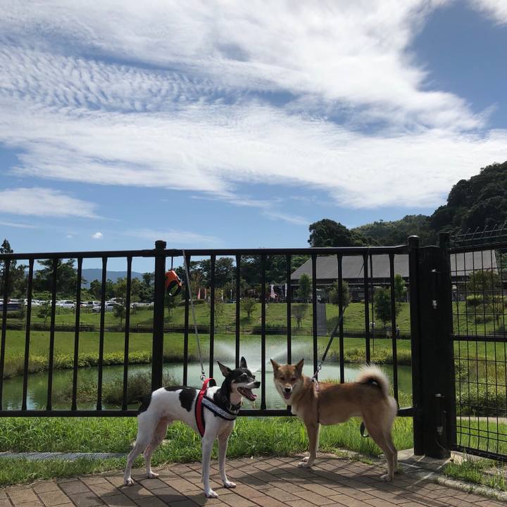 51a08715 d384 47d8 ba96 747be05e0ad6 1537694471652