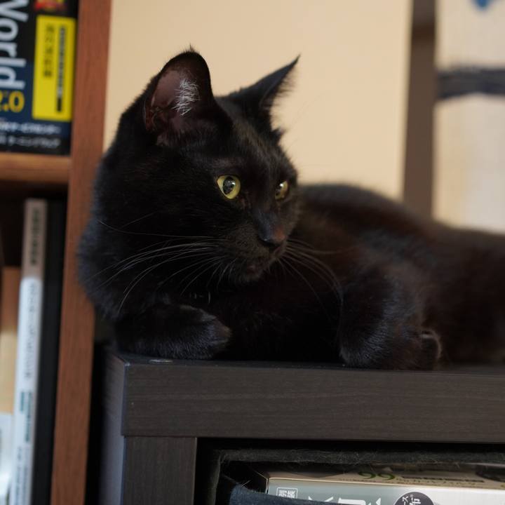 51a0c53c e3c6 4fdd 8534 862669d4651e 1650016479678