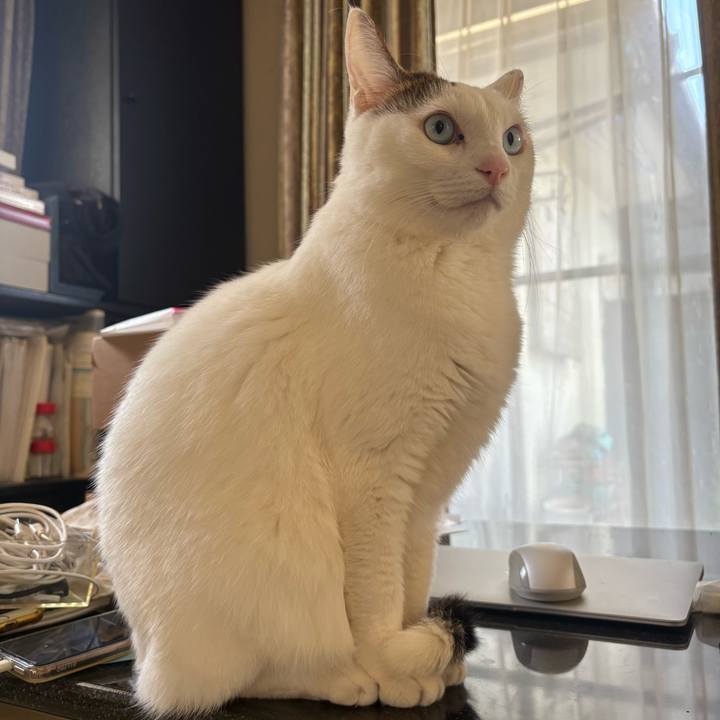 51a13203 d45c 43d7 98fa 0d9941874fd7 1740612676860