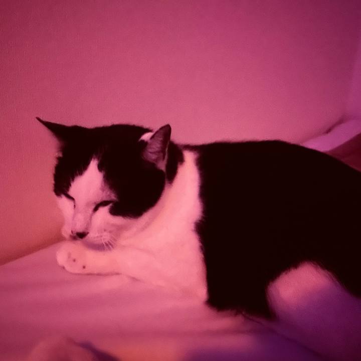 51a13218 d561 42f6 a331 29f08c018e91 1674502490976