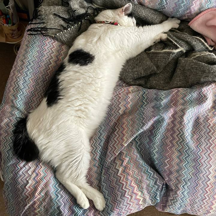 51a18826 1adb 4afb 9c78 51ab7242b565 1651102590428