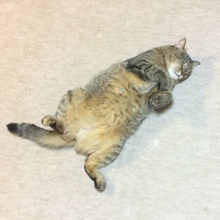 51a18c33 f843 4e3c abb9 de8f2ff71398 1567813796730