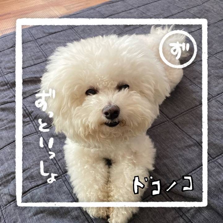 51a1ad53 5457 4939 a25b 55b011e37a13 1685932211158