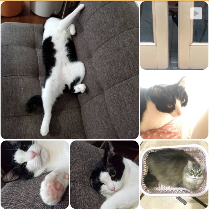 51a1bc35 fc8d 4fb8 a914 bb54998b6911 1556057992063