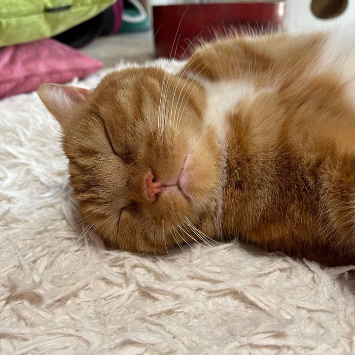 51a1ca1f cef5 4740 b777 7f78af7f7943 1659864244074