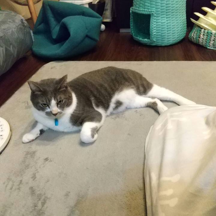 51a1d531 3e8f 4cd7 9807 566f1e26fcde 1635513824464