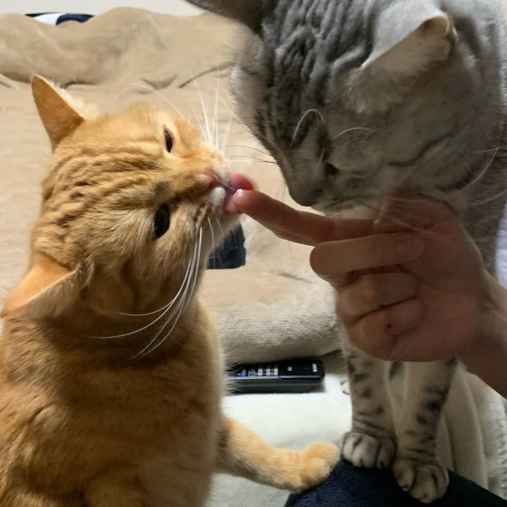 51a1d65d cbfe 4a1c bbda 64004898a065 1611928353827