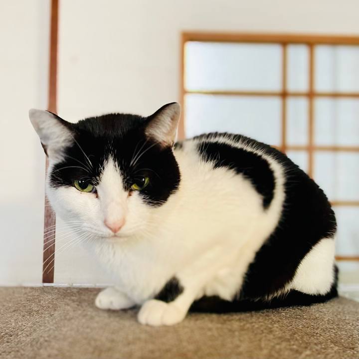 51a1d7b9 78eb 4810 9cad d8b6867d7cf4 1610505205055