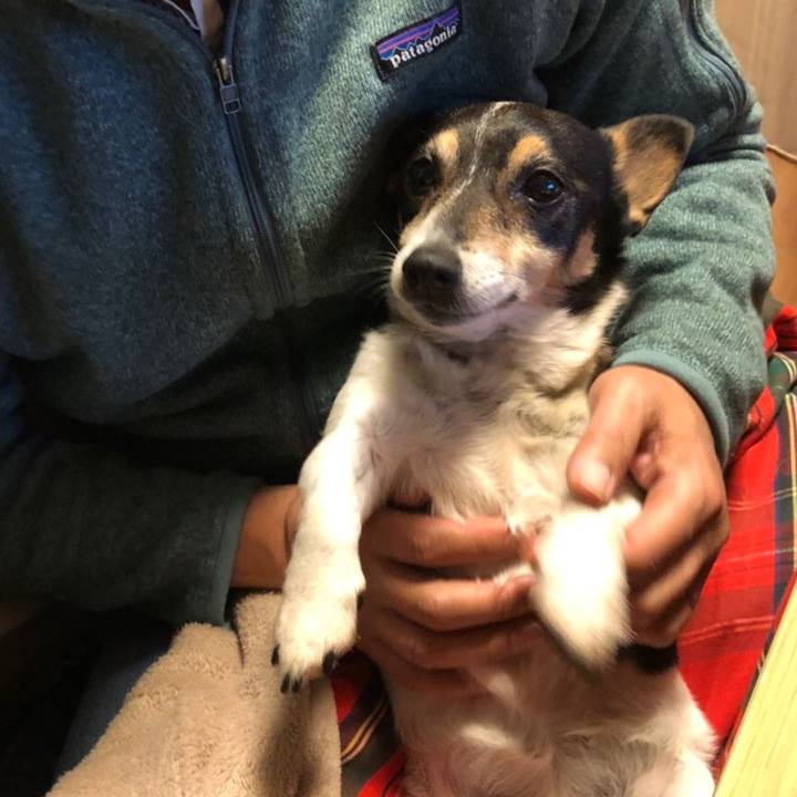 51a1e9cb 2f68 4d0c 9a41 98544989b293 1554637093384