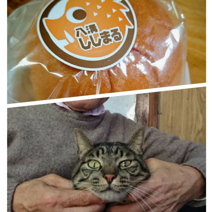 51a1fcf4 f759 4365 97bd 2f655a7c81f6 1614944867166