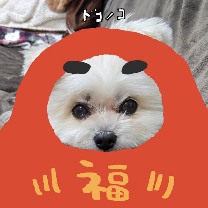 51a1fd6f 812a 4883 b641 ec5898156a36 1772075019750