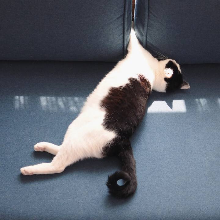 51a20edf 36bb 4d50 95bc dcfd5a74e149 1522723091185