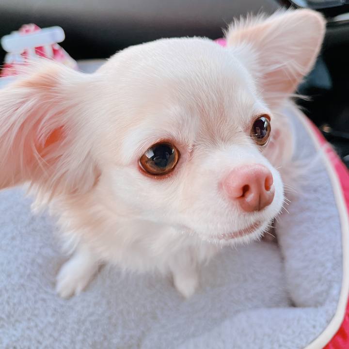 51a21a5d 038f 425b 9768 dd6067520d5c 1672733410662