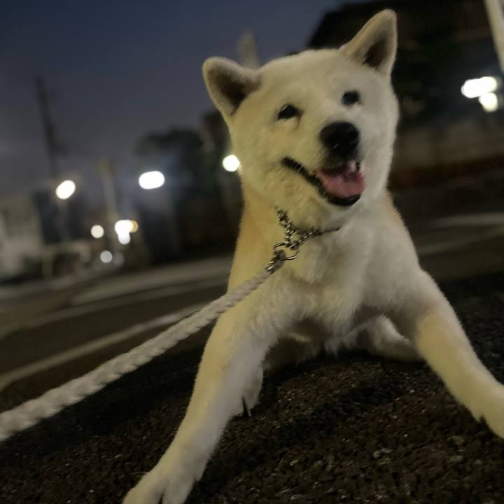 51a21cb3 e832 4260 a0de e9a206130ab4 1751592358381