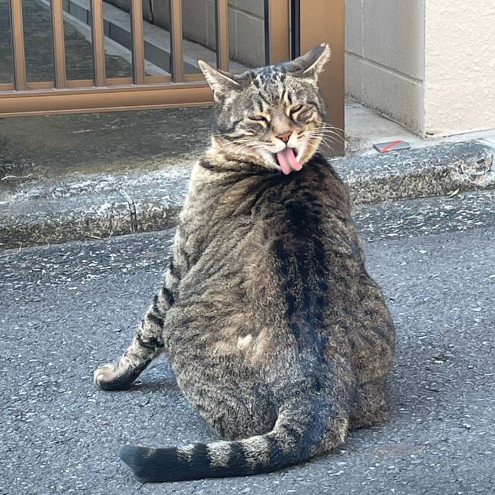 51a24135 8424 44c0 b0d3 2c2be15e8851 1614236512457