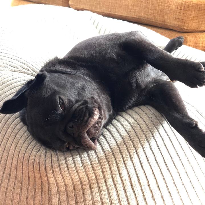 51a25678 11a2 403d a9f8 b8d54d2d1019 1616052508555