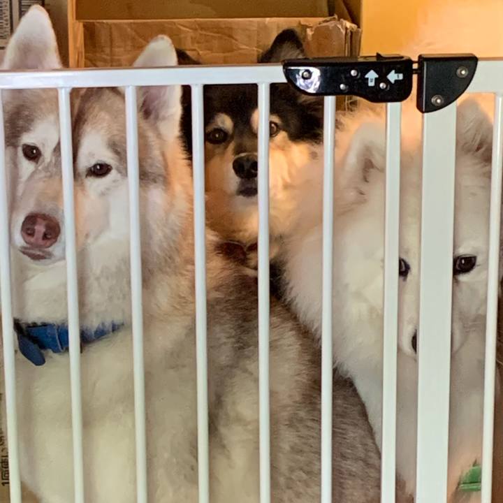 51a25c1b 3adf 4666 8000 2d47646248dc 1620100398783