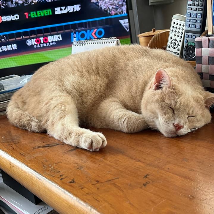 51a261e8 80ff 4711 90fc 5ab10dd29e63 1763195477256