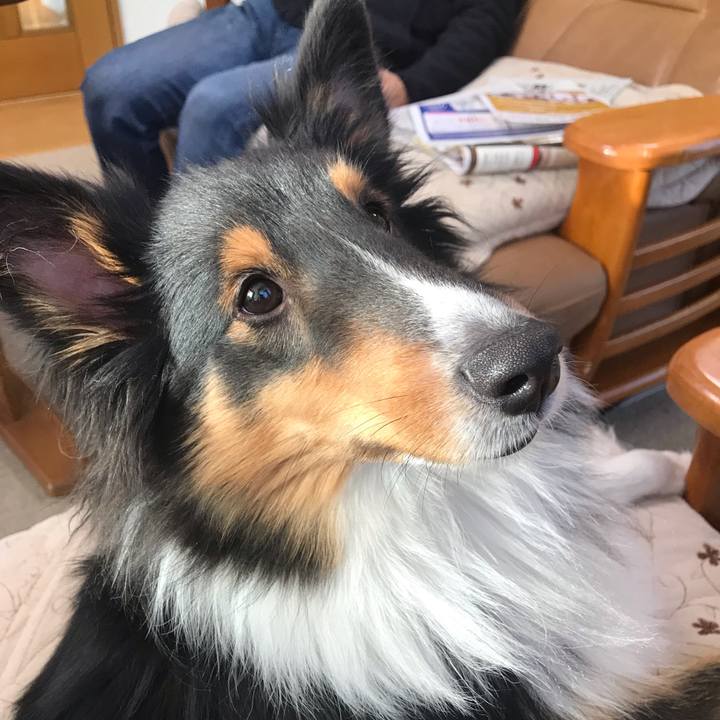 51a2aa0b 1e43 4b3a b4a8 1807ca062184 1544829717748