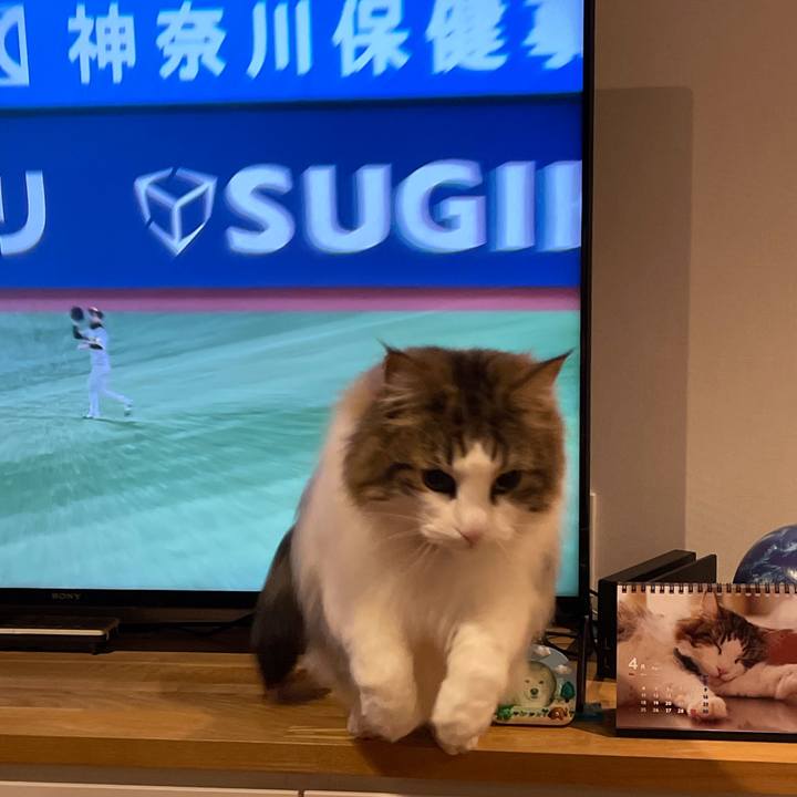 51a2d4d7 480d 4c84 b412 236d6380cf5a 1650454189862