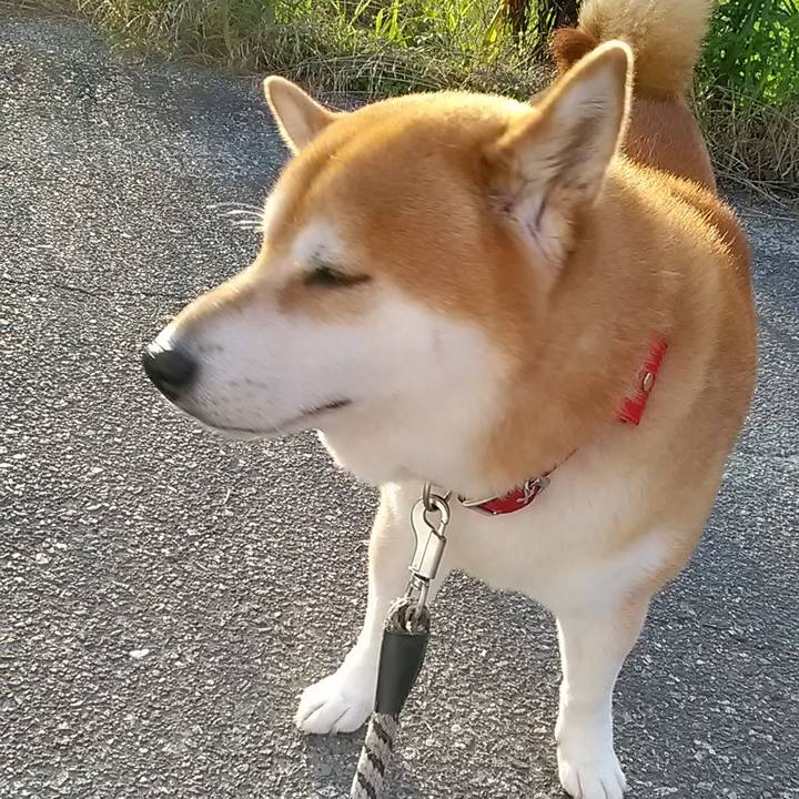 51a2ebfe cbfd 4a2b b9e8 f3bf87414bb1 1631187809384