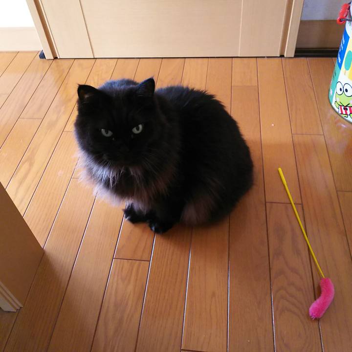 51a362cb cbc1 4300 8f4d 4514918f6f66 1575686454191