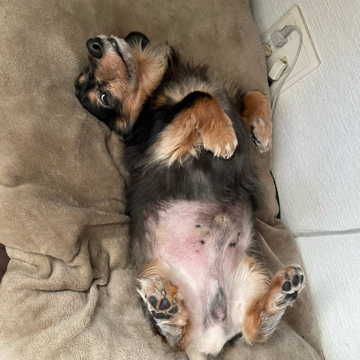 51a36e5e b05e 4c4e 8246 33d12382f9a5 1672101203934