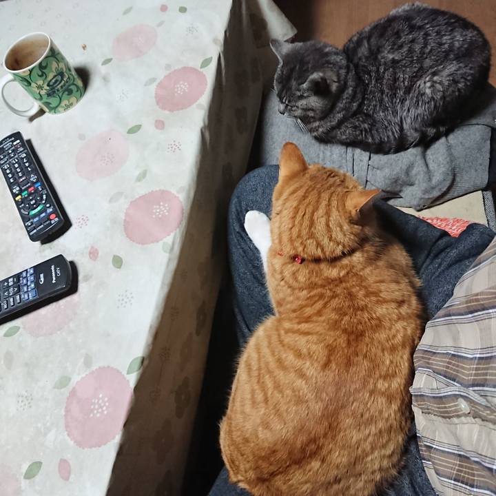 51a37e5b 5bb5 447f 8fba bb8f32665768 1577780413969