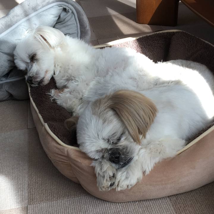 51a3e9c3 eb7c 49fb be81 0e96c6e3a651 1580697670744