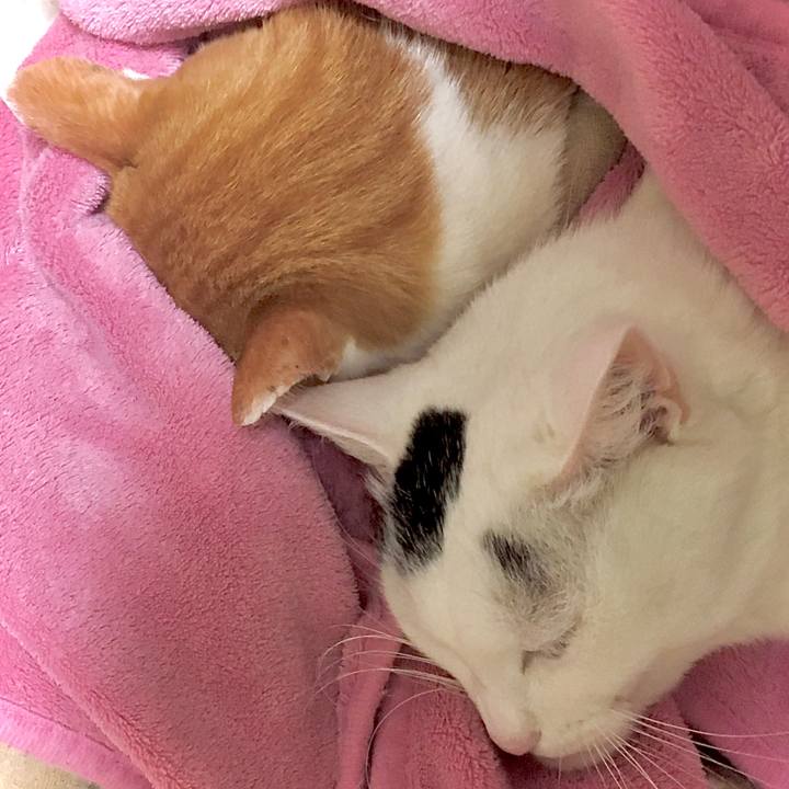 51a3eb9f 79e5 4d66 8748 eacc4c1553fb 1581305458819