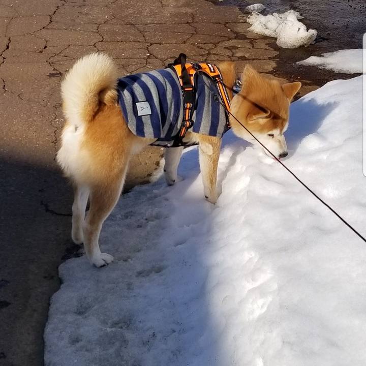 51a3ec6c 28df 4375 aef0 a82f3b561328 1581574991727