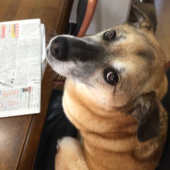 51a41160 e1a1 4390 8df7 c0ad4219bcb9 1541633681694