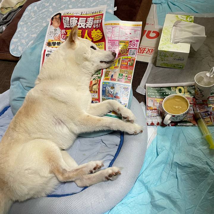 51a42fec 7fea 4285 906a 781d16f96169 1655180721559